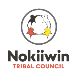 nokiiwin-logo